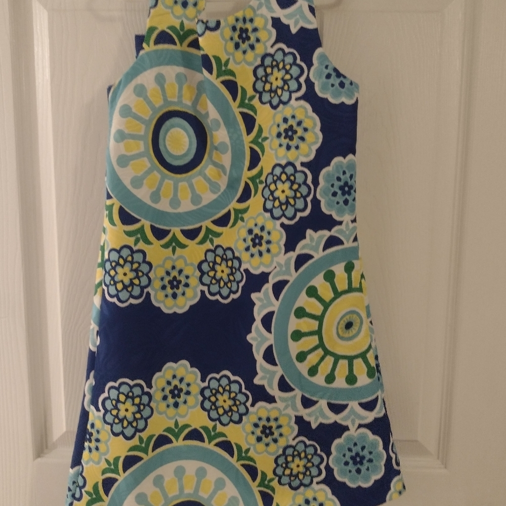 Girls 6x lined dress